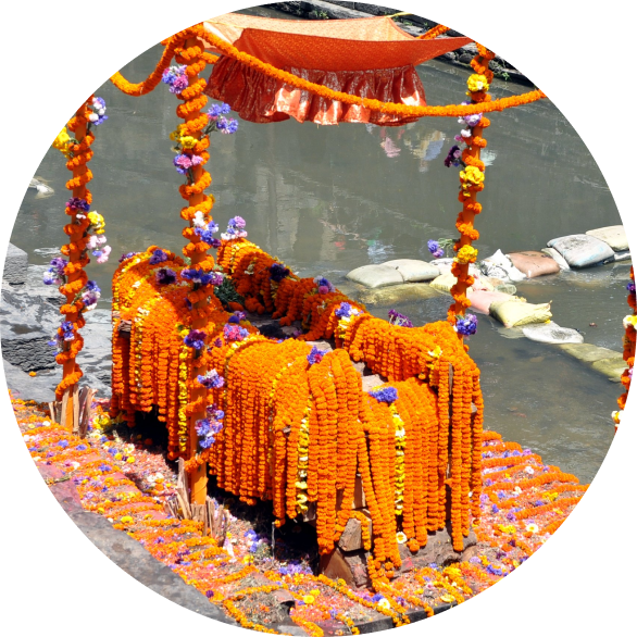 flower-img