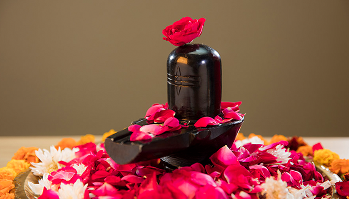 How Rudrabhishek Puja Helps To Alleviate Suffering?